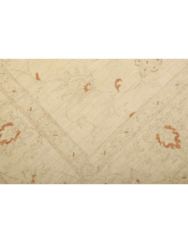 Tappeto Zigler Pakistan cm.248x347