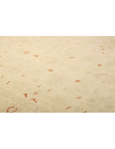 Tappeto Zigler Pakistan cm.248x347