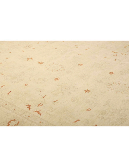 Tappeto Zigler Pakistan cm.248x347