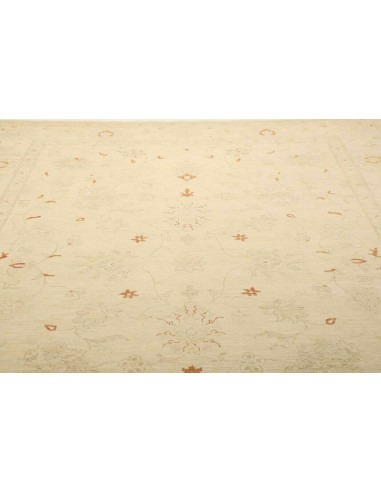 Tappeto Zigler Pakistan cm.248x347
