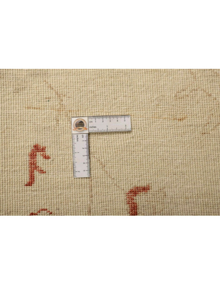 Tappeto Zigler Pakistan cm.248x347