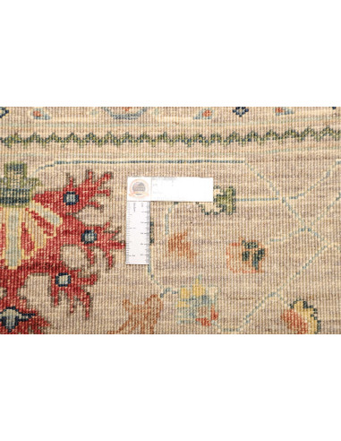 Tappeto Zigler Pakistan cm.274x361