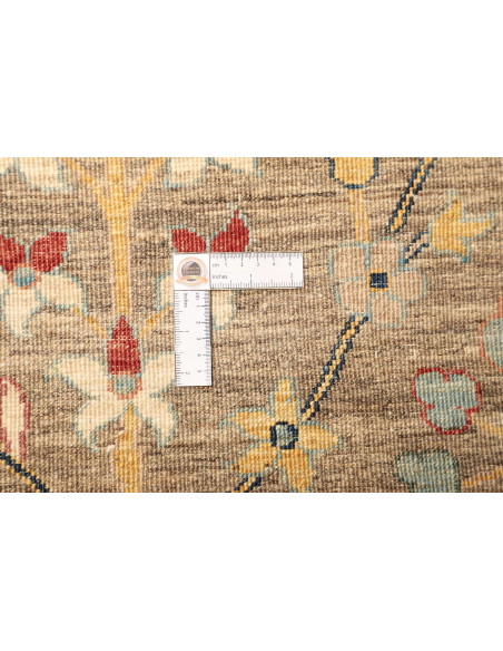Tappeto Zigler Pakistan cm.269x376