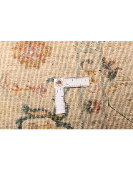 Tappeto Zigler Pakistan cm.167x238