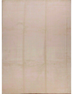 Tappeto Persiano Line 132 L 260x350 cm Beige Nepal... 2