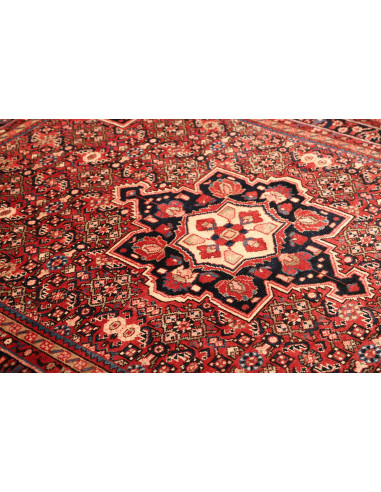 Tappeto Hamadan Persia cm.164x228