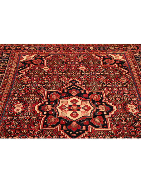 Tappeto Hamadan Persia cm.164x228