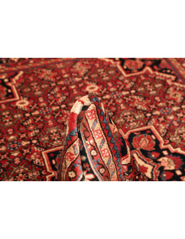 Tappeto Hamadan Persia cm.164x228