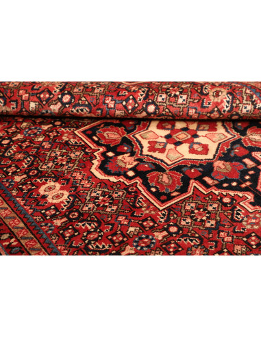 Tappeto Hamadan Persia cm.164x228