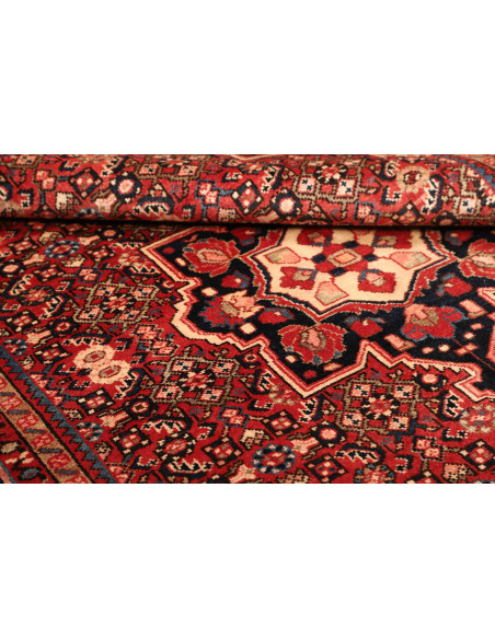 Tappeto Hamadan Persia cm.164x228