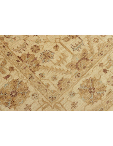 Tappeto Zigler Pakistan cm.204x295