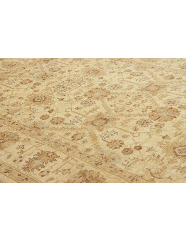 Tappeto Zigler Pakistan cm.204x295