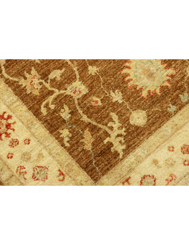 Tappeto Zigler Pakistan cm.118x186