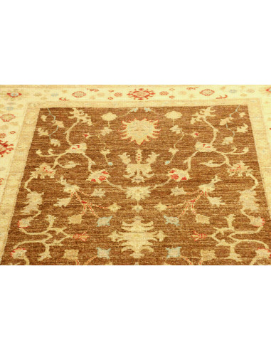 Tappeto Zigler Pakistan cm.118x186