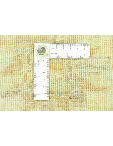 Tappeto Zigler Pakistan cm.148x217