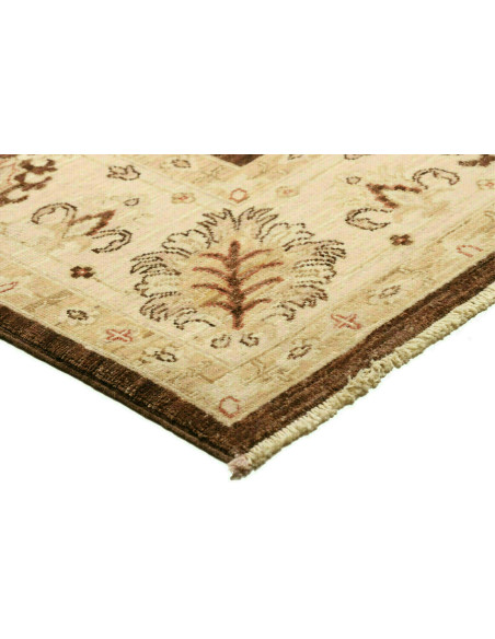 Tappeto Zigler Pakistan cm.170x237