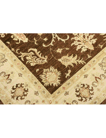 Tappeto Zigler Pakistan cm.170x237