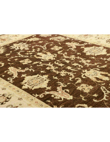 Tappeto Zigler Pakistan cm.170x237