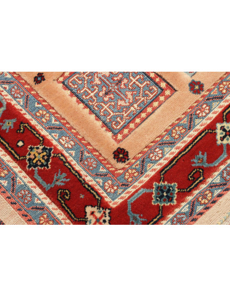 Tappeto Nimbaft Persia cm.61x87