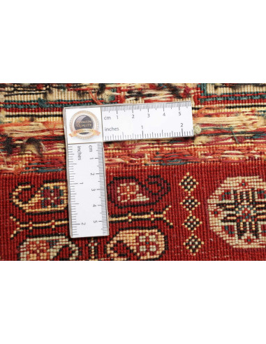 Tappeto Nimbaft Persia cm.82x121