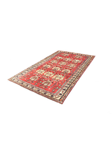 Tappeto Shiraz Persia cm.155x240