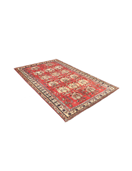 Tappeto Shiraz Persia cm.155x240
