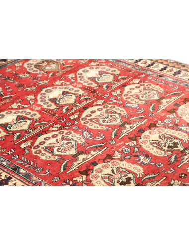 Tappeto Shiraz Persia cm.155x240