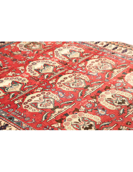 Tappeto Shiraz Persia cm.155x240