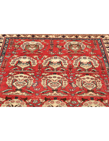Tappeto Shiraz Persia cm.155x240