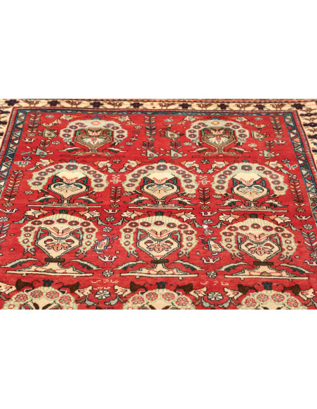 Tappeto Shiraz Persia cm.155x240