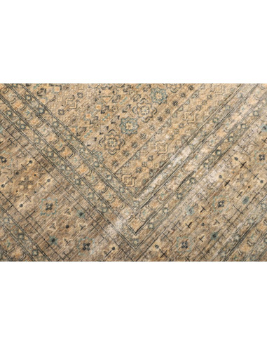 Tappeto Ziegler Mammalucchi Pakistan cm.308x406