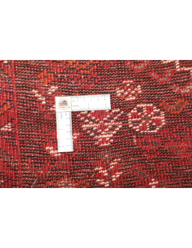 Tappeto Shiraz Persia cm.220x333