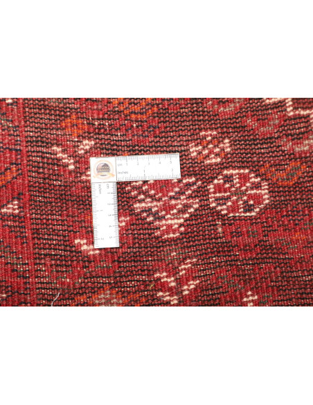 Tappeto Shiraz Persia cm.220x333