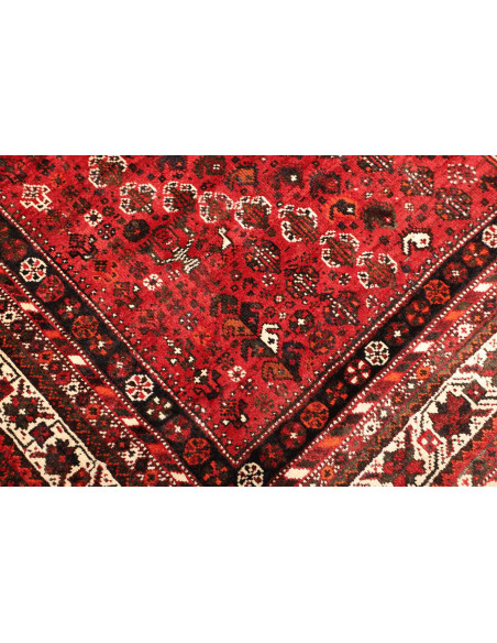 Tappeto Shiraz Persia cm.220x310
