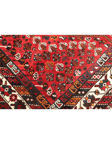 Tappeto Shiraz Persia cm.213x303