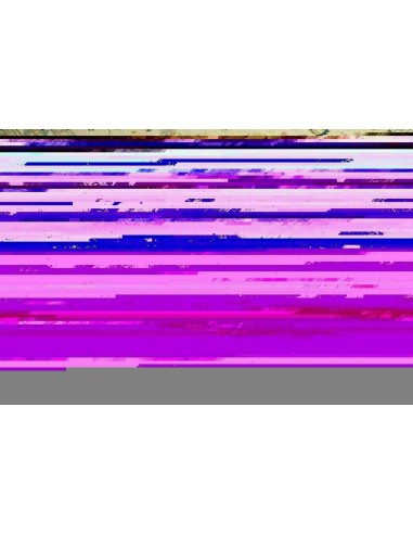 Tappeto Zigler Pakistan cm.243x300