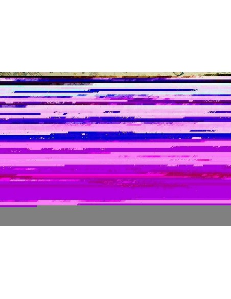 Tappeto Zigler Pakistan cm.243x300