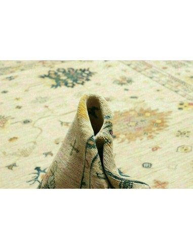 Tappeto Zigler Pakistan cm.243x300