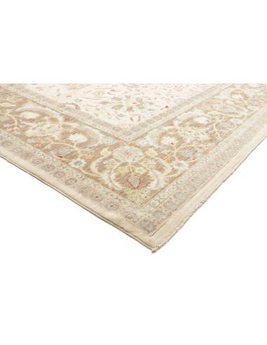 Tappeto Zigler Pakistan cm.310x414