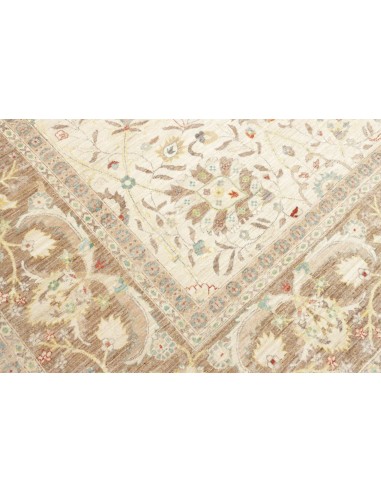 Tappeto Zigler Pakistan cm.310x414