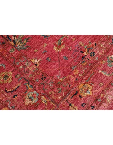 Tappeto Zigler  cm.245x304