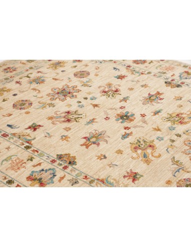 Tappeto Zigler  cm.151x205