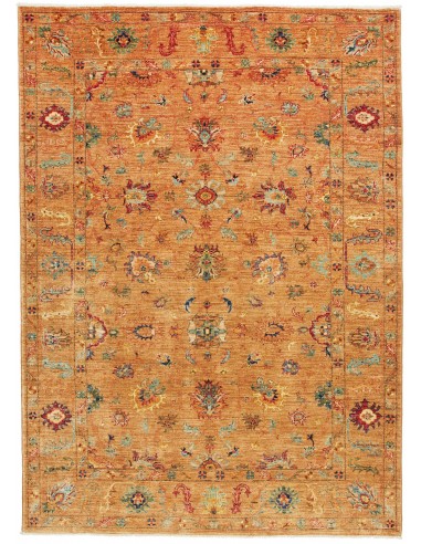 Tappeto Zigler  cm.149x206