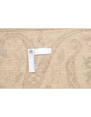 Tappeto Zigler Pakistan cm.276x347