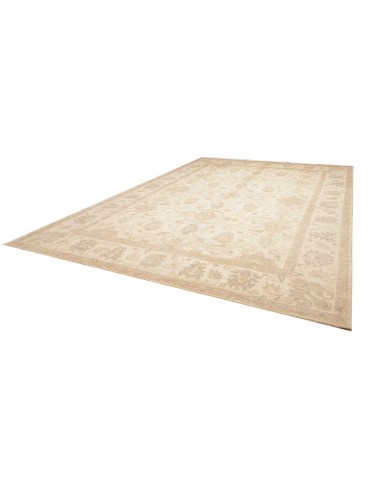 Tappeto Zigler Pakistan cm.304x424