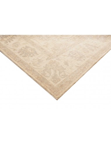 Tappeto Zigler Pakistan cm.304x424