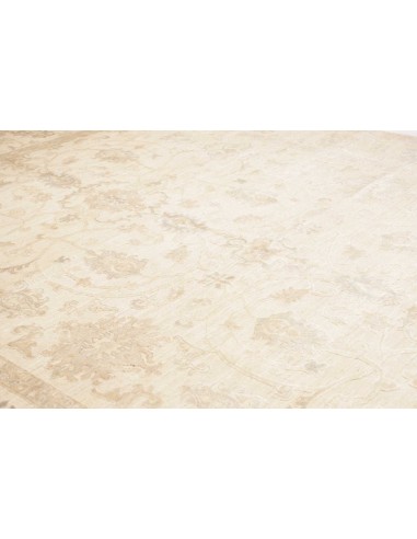 Tappeto Zigler Pakistan cm.304x424