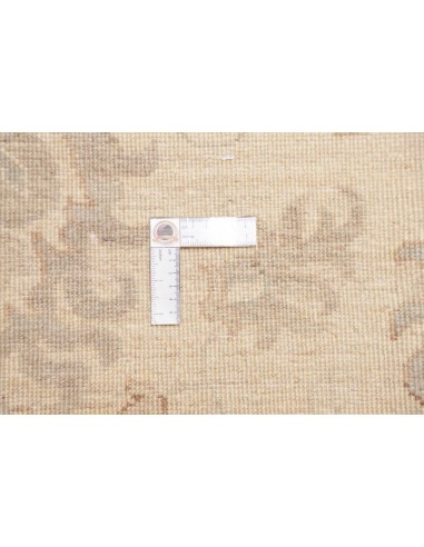 Tappeto Zigler Pakistan cm.304x424