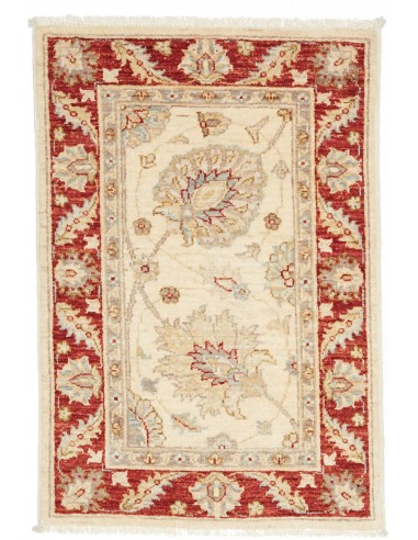 Tappeto Zigler Pakistan cm.60x88