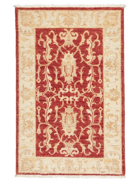 Tappeto Zigler Pakistan cm.60x90